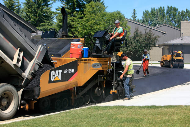Best Custom Driveway Pavers  in Beesleys Point, NJ